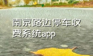 南京路边停车收费系统app