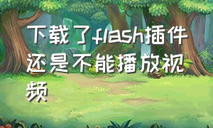 下载了flash插件还是不能播放视频