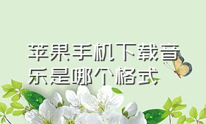 苹果手机下载音乐是哪个格式