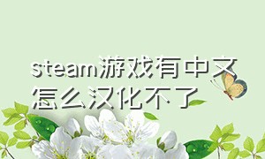 steam游戏有中文怎么汉化不了