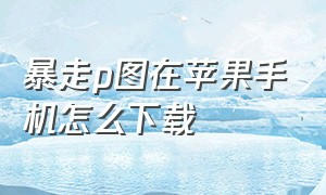 暴走p图在苹果手机怎么下载