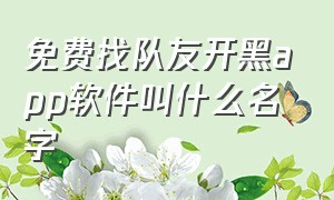 免费找队友开黑app软件叫什么名字