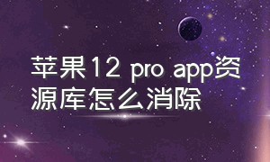苹果12 pro app资源库怎么消除