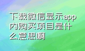 下载微信显示app内购买项目是什么意思啊