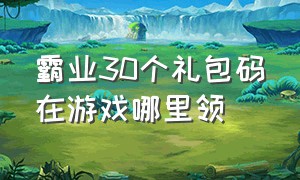 霸业30个礼包码在游戏哪里领