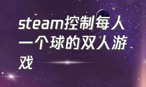 steam控制每人一个球的双人游戏