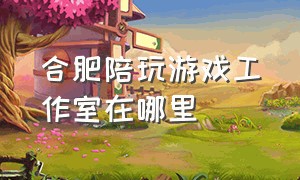 合肥陪玩游戏工作室在哪里