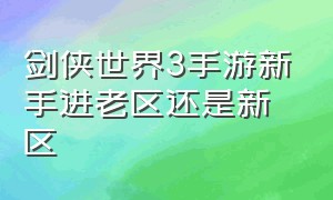 剑侠世界3手游新手进老区还是新区