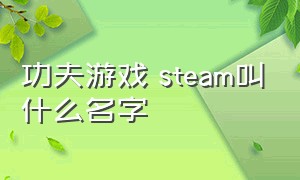 功夫游戏 steam叫什么名字