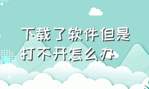 下载了软件但是打不开怎么办