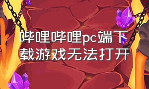 哔哩哔哩pc端下载游戏无法打开