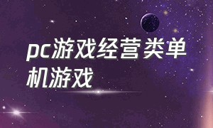 pc游戏经营类单机游戏