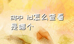 app id怎么查看是哪个