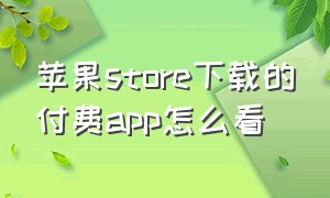 苹果store下载的付费app怎么看