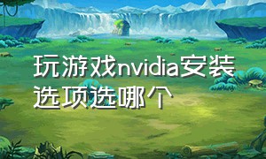 玩游戏nvidia安装选项选哪个