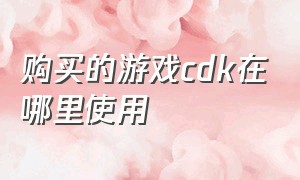 购买的游戏cdk在哪里使用