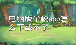 电脑版个税app怎么下载不了