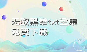 无敌黑拳txt全集免费下载