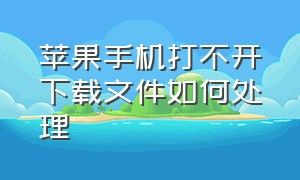 苹果手机打不开下载文件如何处理