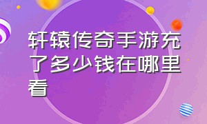 轩辕传奇手游充了多少钱在哪里看