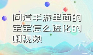 问道手游里面的宝宝怎么进化的啊视频