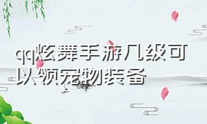 qq炫舞手游几级可以领宠物装备