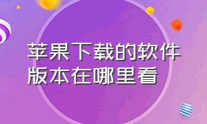 苹果下载的软件版本在哪里看