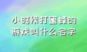 小时候打蜜蜂的游戏叫什么名字