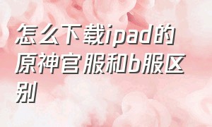 怎么下载ipad的原神官服和b服区别