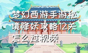 梦幻西游手游秘境降妖攻略12关怎么过视频