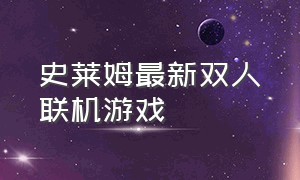 史莱姆最新双人联机游戏