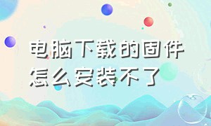 电脑下载的固件怎么安装不了