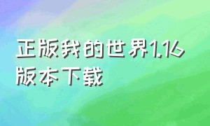 正版我的世界1.16版本下载