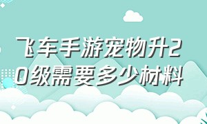 飞车手游宠物升20级需要多少材料