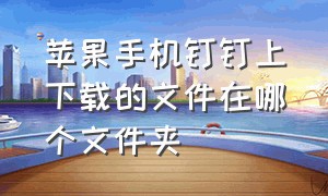 苹果手机钉钉上下载的文件在哪个文件夹