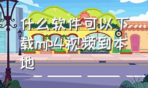 什么软件可以下载mp4视频到本地