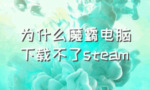 为什么魔霸电脑下载不了steam