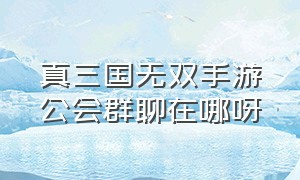 真三国无双手游公会群聊在哪呀