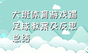 大班体育游戏踢足球教案及反思总结