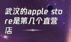 武汉的apple store是第几个直营店