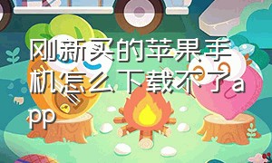 刚新买的苹果手机怎么下载不了app