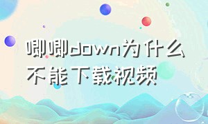 唧唧down为什么不能下载视频