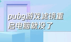 pubg游戏滤镜重启电脑就没了