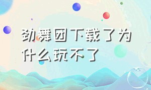 劲舞团下载了为什么玩不了