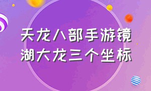 天龙八部手游镜湖大龙三个坐标