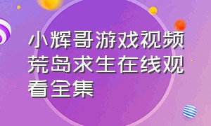 小辉哥游戏视频荒岛求生在线观看全集