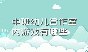 中班幼儿合作室内游戏有哪些