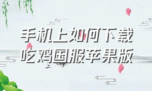 手机上如何下载吃鸡国服苹果版