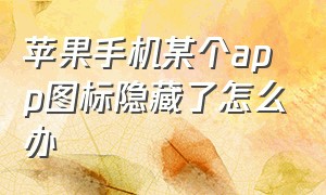 苹果手机某个app图标隐藏了怎么办