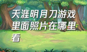 天涯明月刀游戏里面照片在哪里看